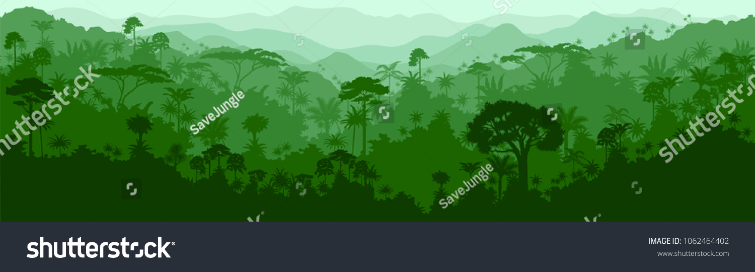 Vector horizontal seamless tropical rainforest Jungle background #1062464402