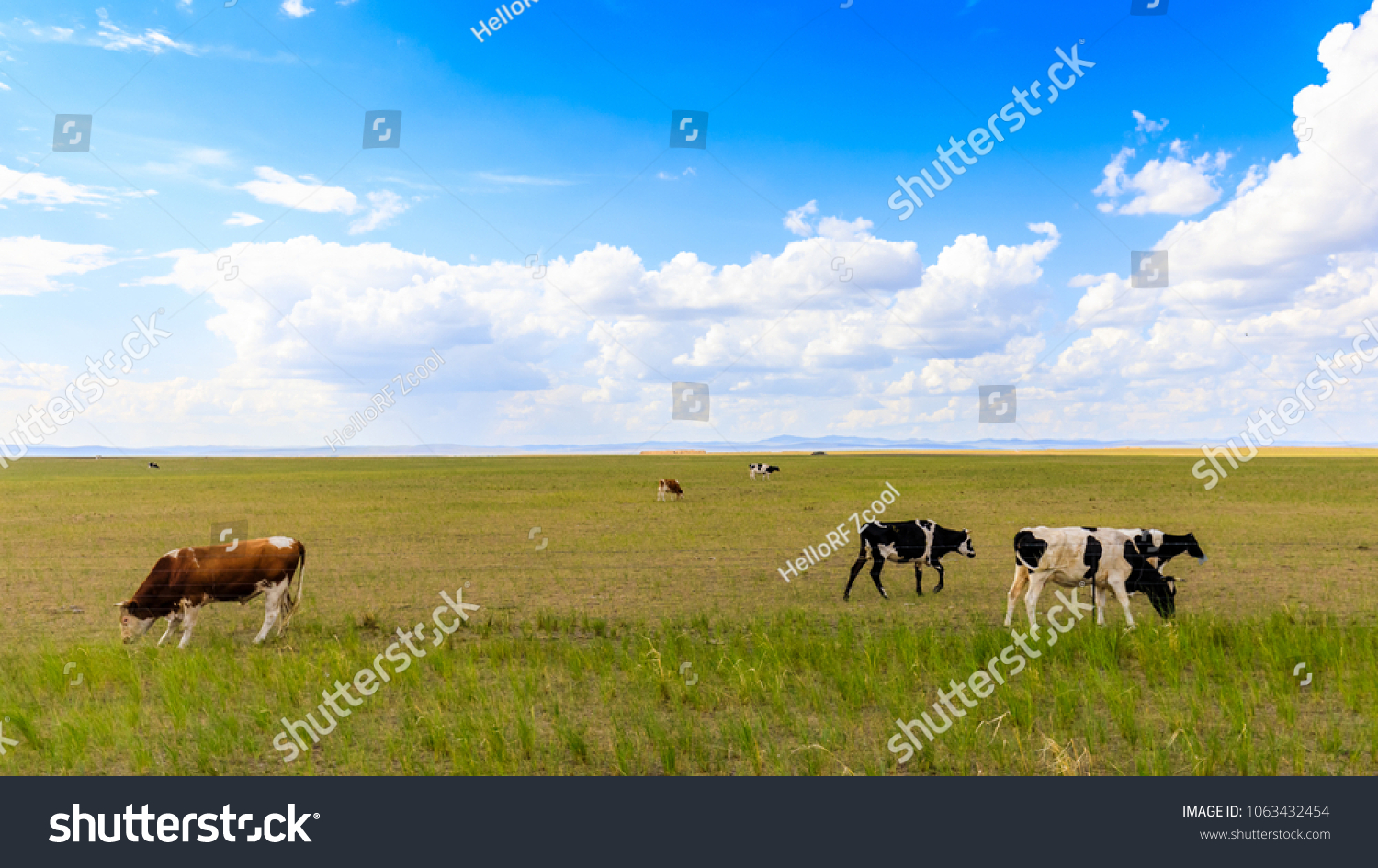 Herds on the grasslands of Inner Mongolia #1063432454