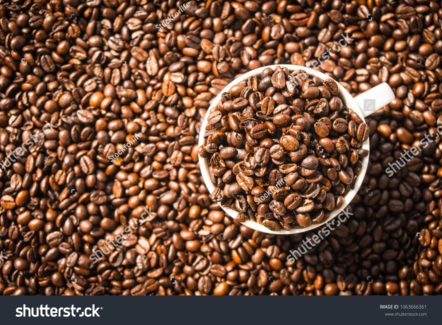 Brown coffee beans in white cup or mug #1063666361