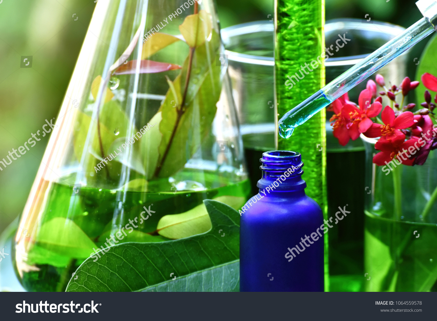 Scientist with natural drug research, Natural organic botany and scientific glassware, Alternative green herb medicine, Natural skin care beauty products, Research and development concept. #1064559578