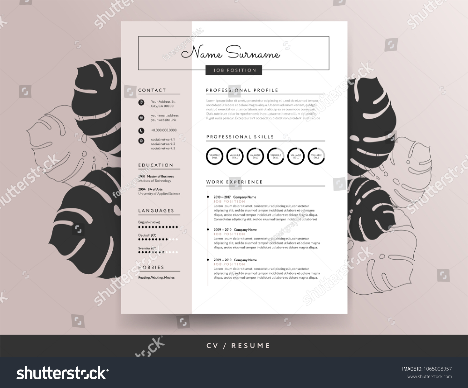 Feminine Cv Resume Template Elegant Stylish Royalty Free Stock Vector 1065008957 8854