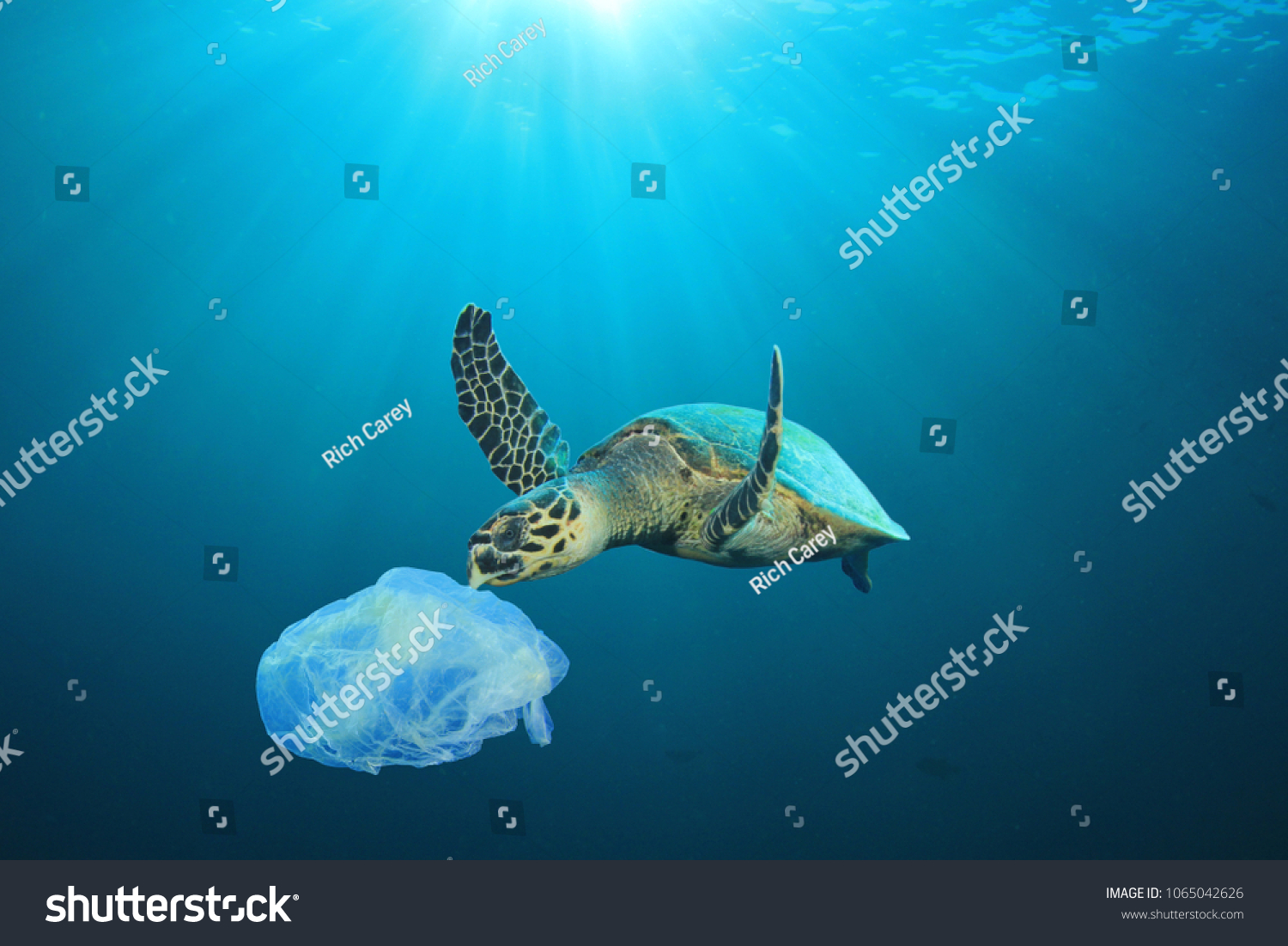 Plastic pollution in ocean problem. Sea Turtle eats plastic bag  #1065042626