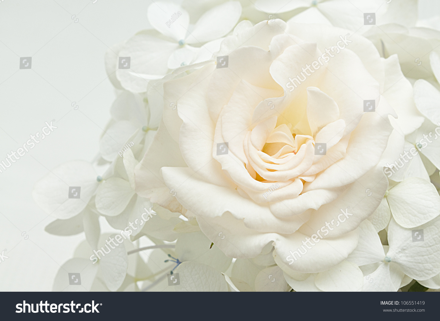 floral background of white flowers #106551419