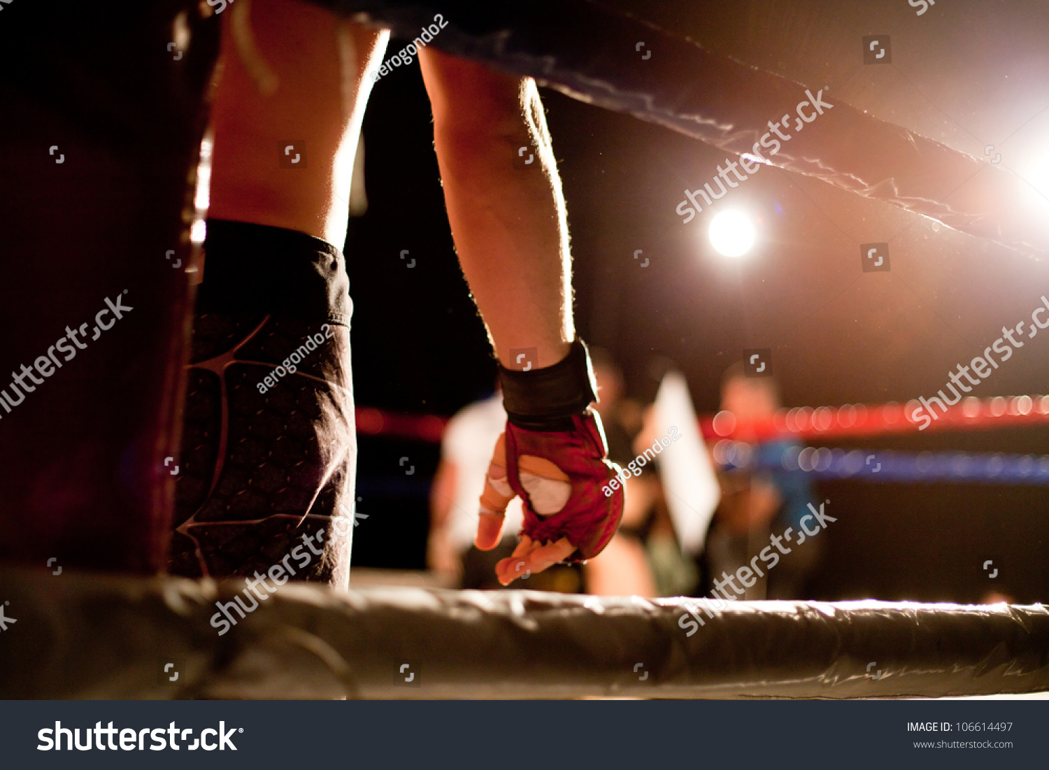 boxing match #106614497