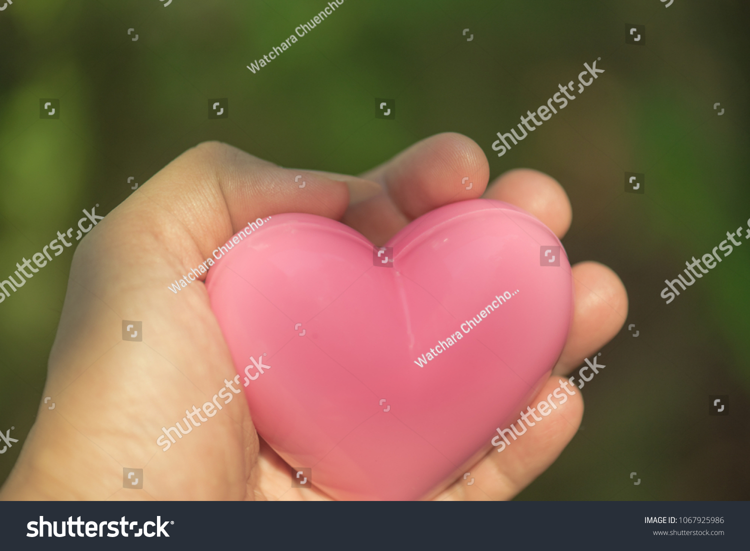 Pink heart shape in hand. #1067925986