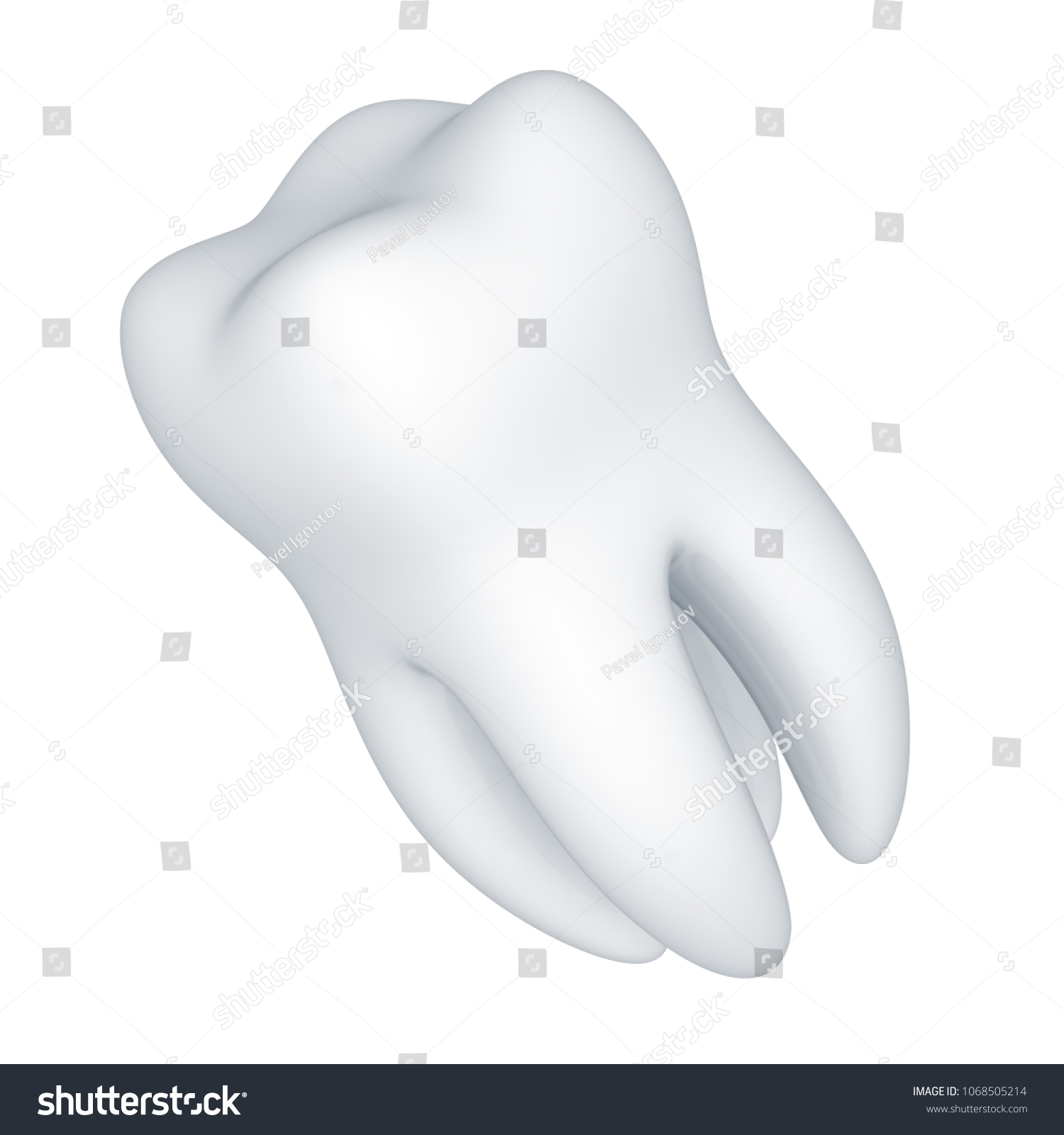 Tooth. 3D Illustration. #1068505214
