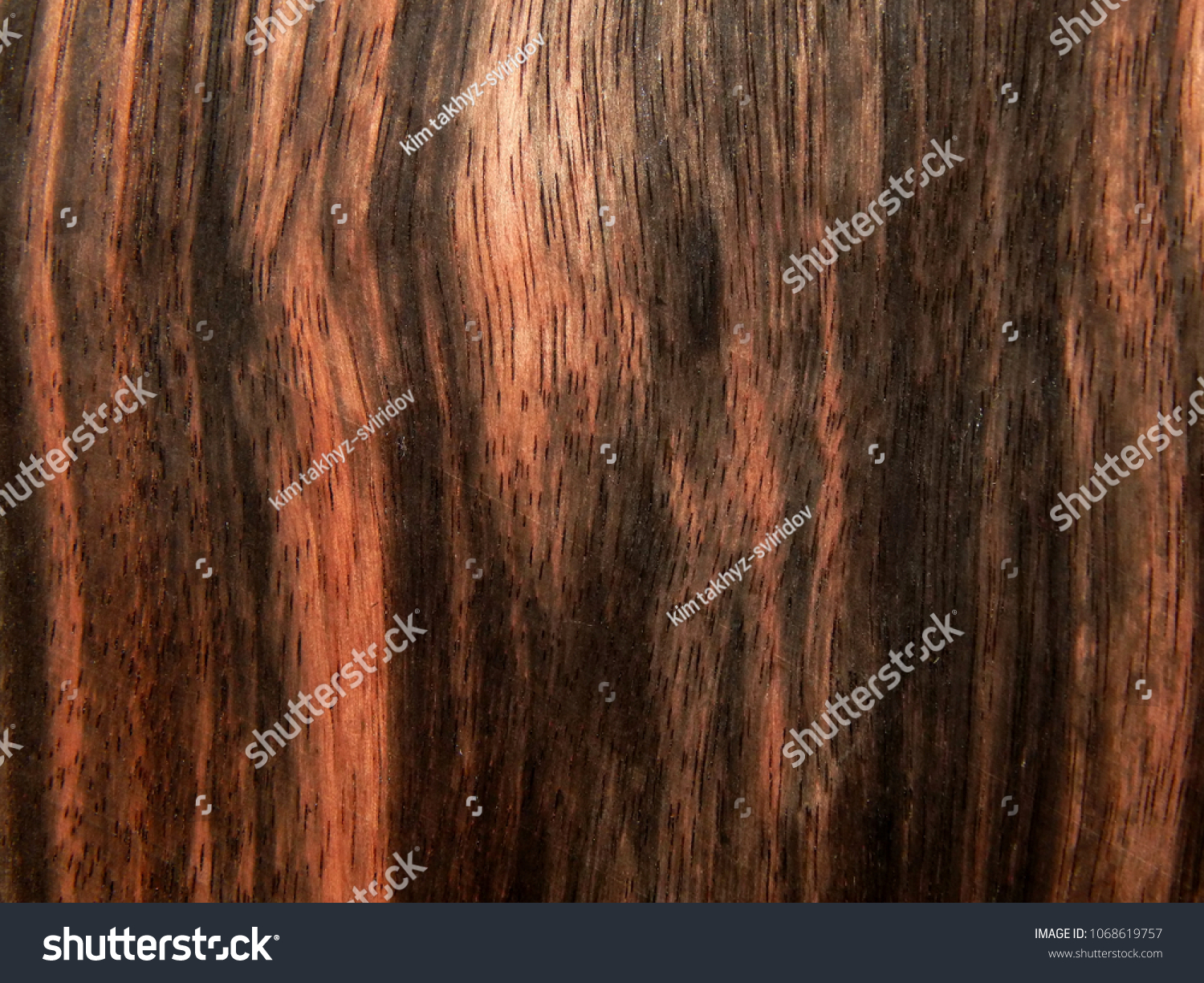 Textured wood surface of ebony Makassar #1068619757