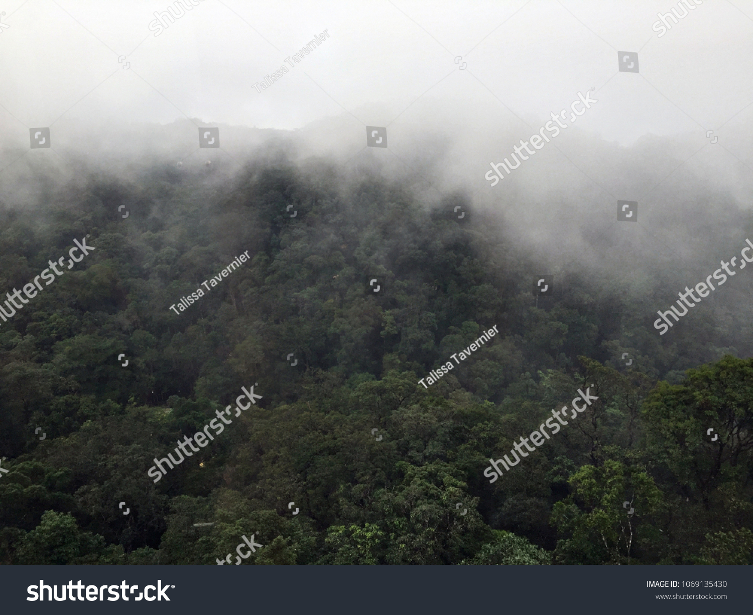Foggy Mountainside in Ba Na Hills, Vietnam  #1069135430