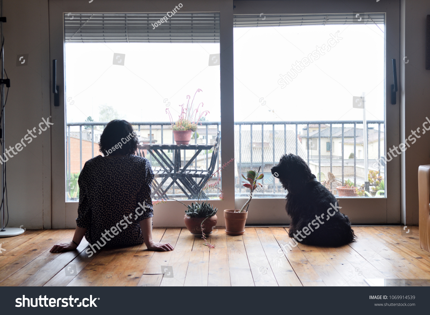 sad woman sitting and looking out the window with her dog #1069914539