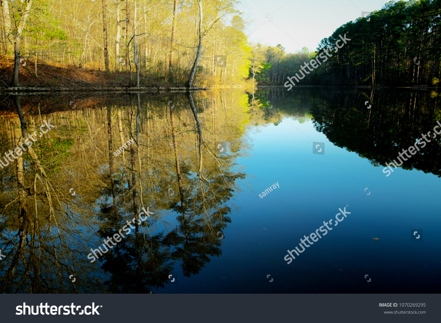 Crystal clear springtime reflections in the water at the pond at Lake Wheeler Park in Raleigh North Carolina, Triangle area, Wake County. #1070269295