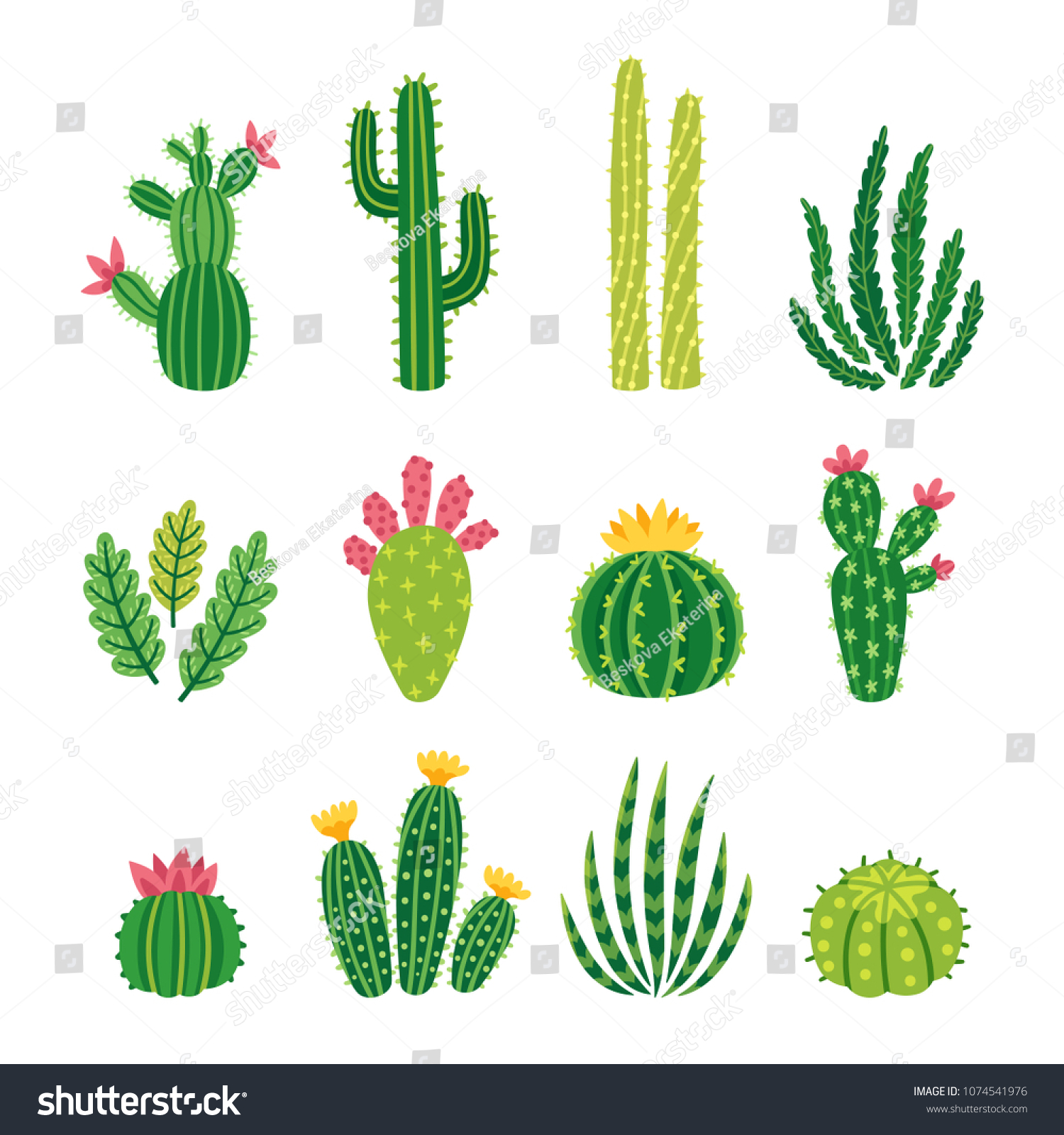 Vector set of bright cacti, aloe and leaves. Collection of exotic plants. Decorative natural elements are isolated on white. Cactus with flowers. #1074541976
