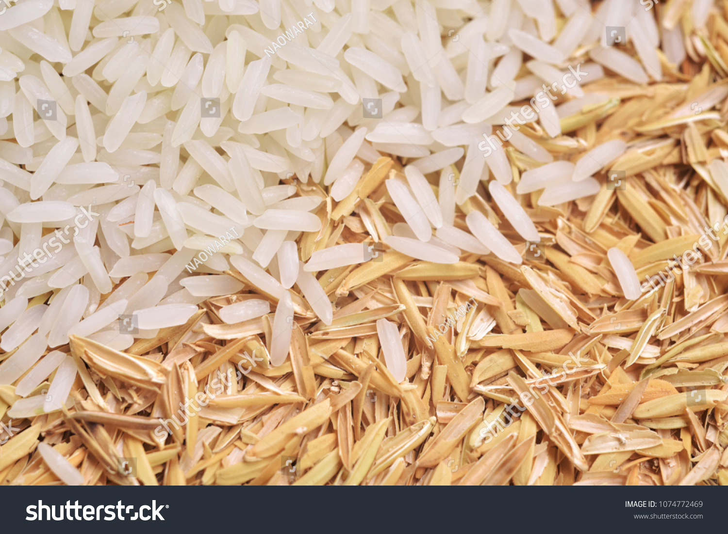 Rice with rice husk #1074772469