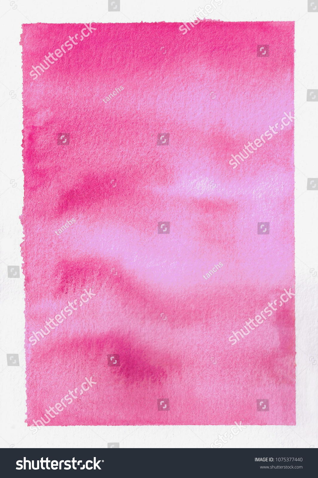 beautiful dreamy hand painted hazy pink watercolor in a square shape, isolated on white background, fine textured paper #1075377440