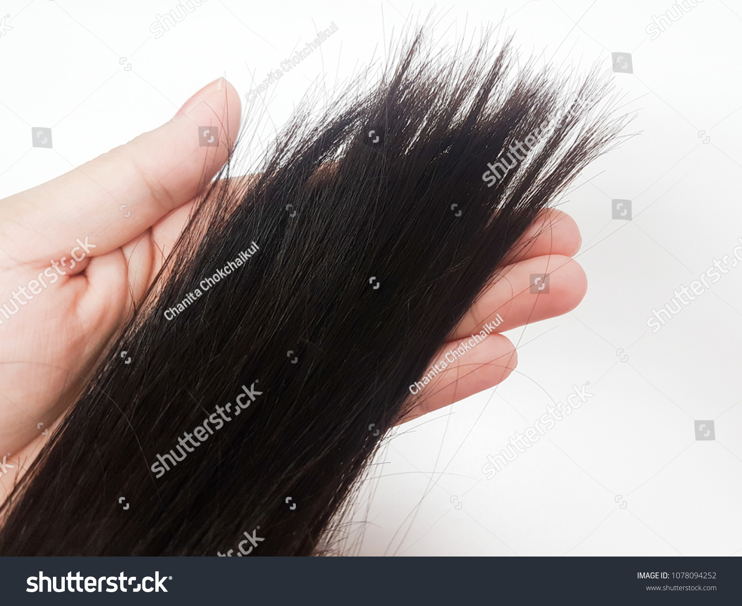 A hand is holding hair breakage. Hair problem. #1078094252