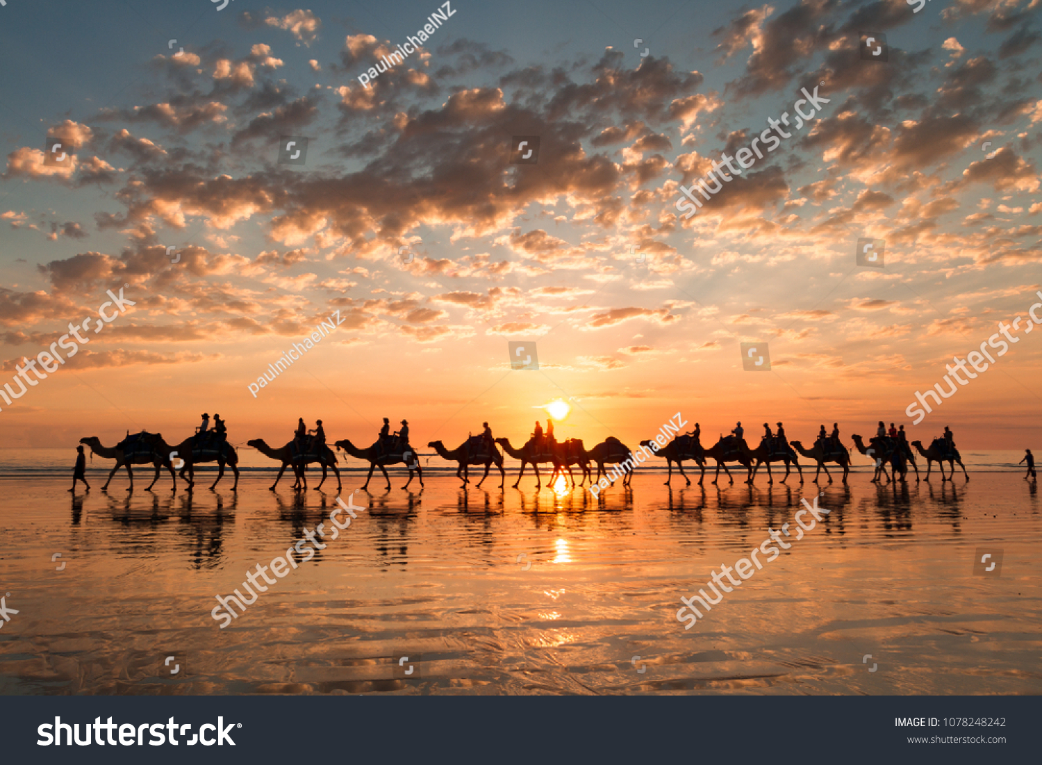 A golden sunset on Cable Beach featuring the famous Broome Camel ride.  #1078248242