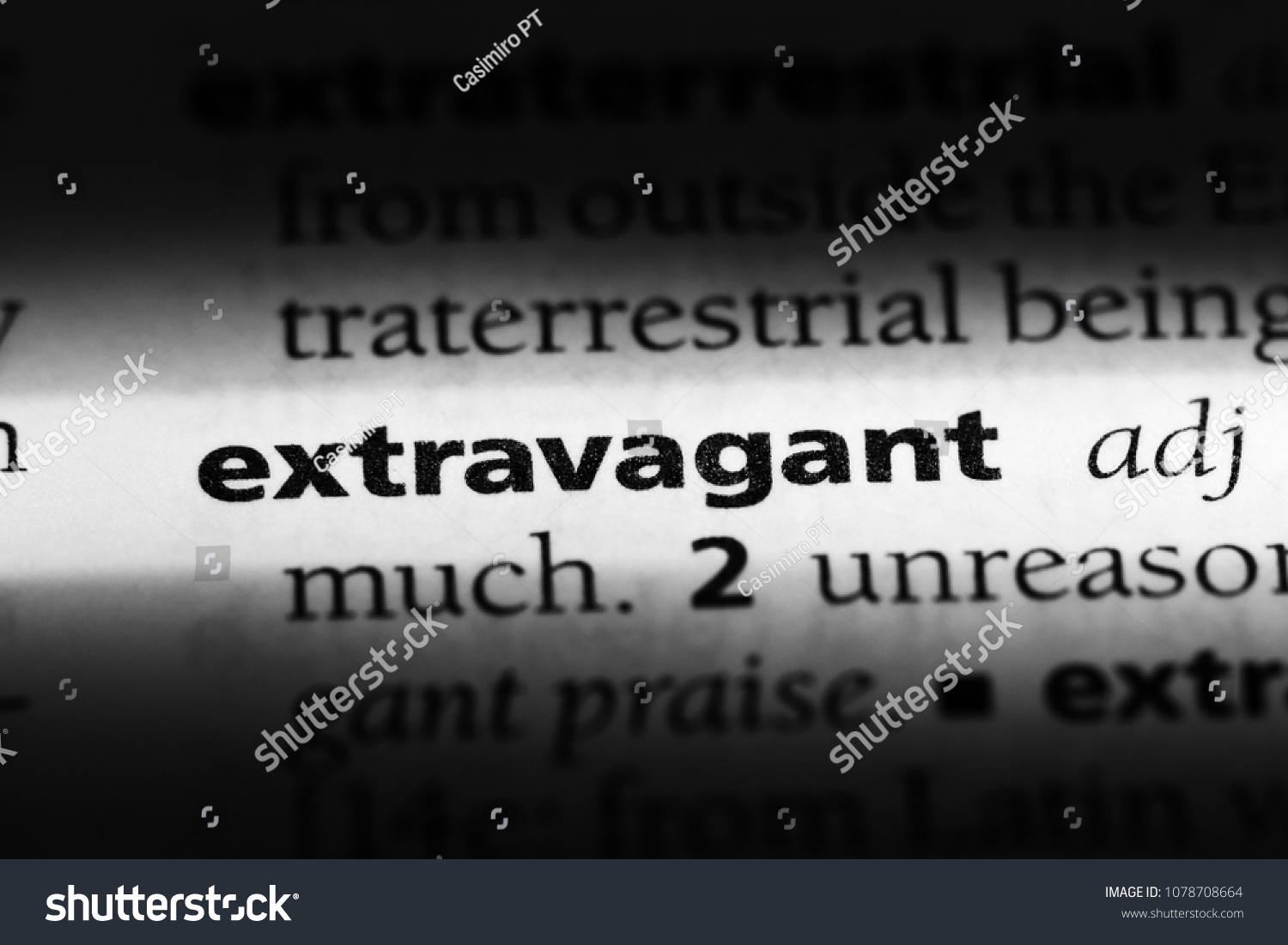 extravagant word in a dictionary. extravagant concept #1078708664