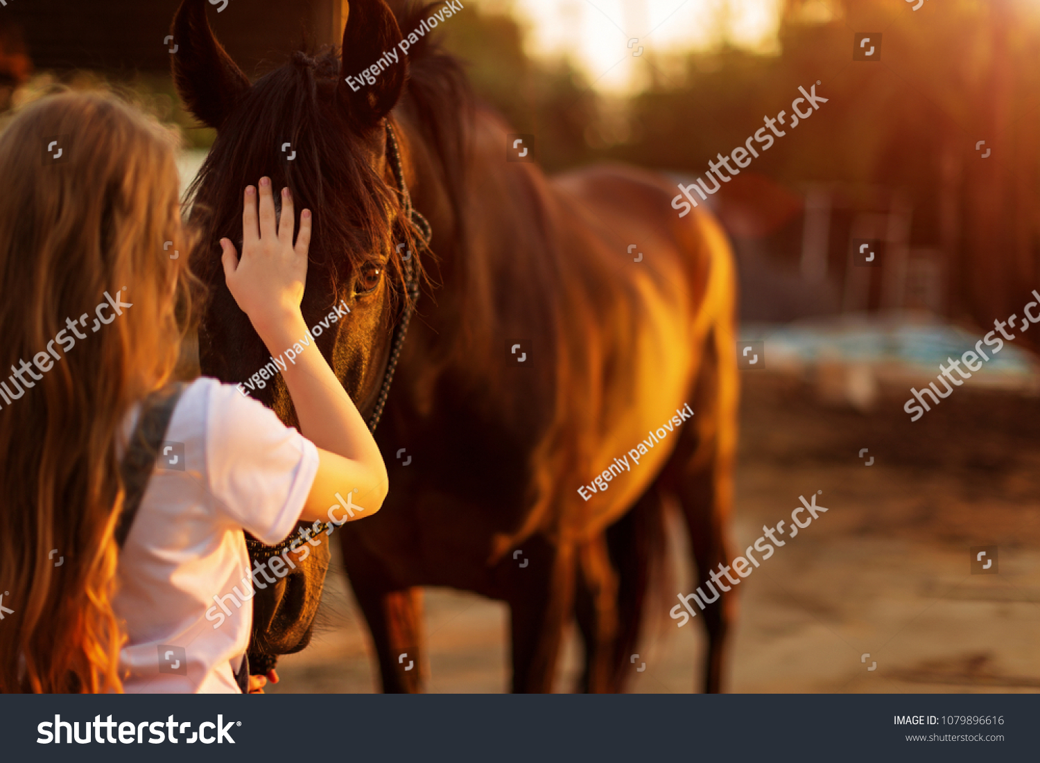 Young blonde girl stroking a brown horse. #1079896616
