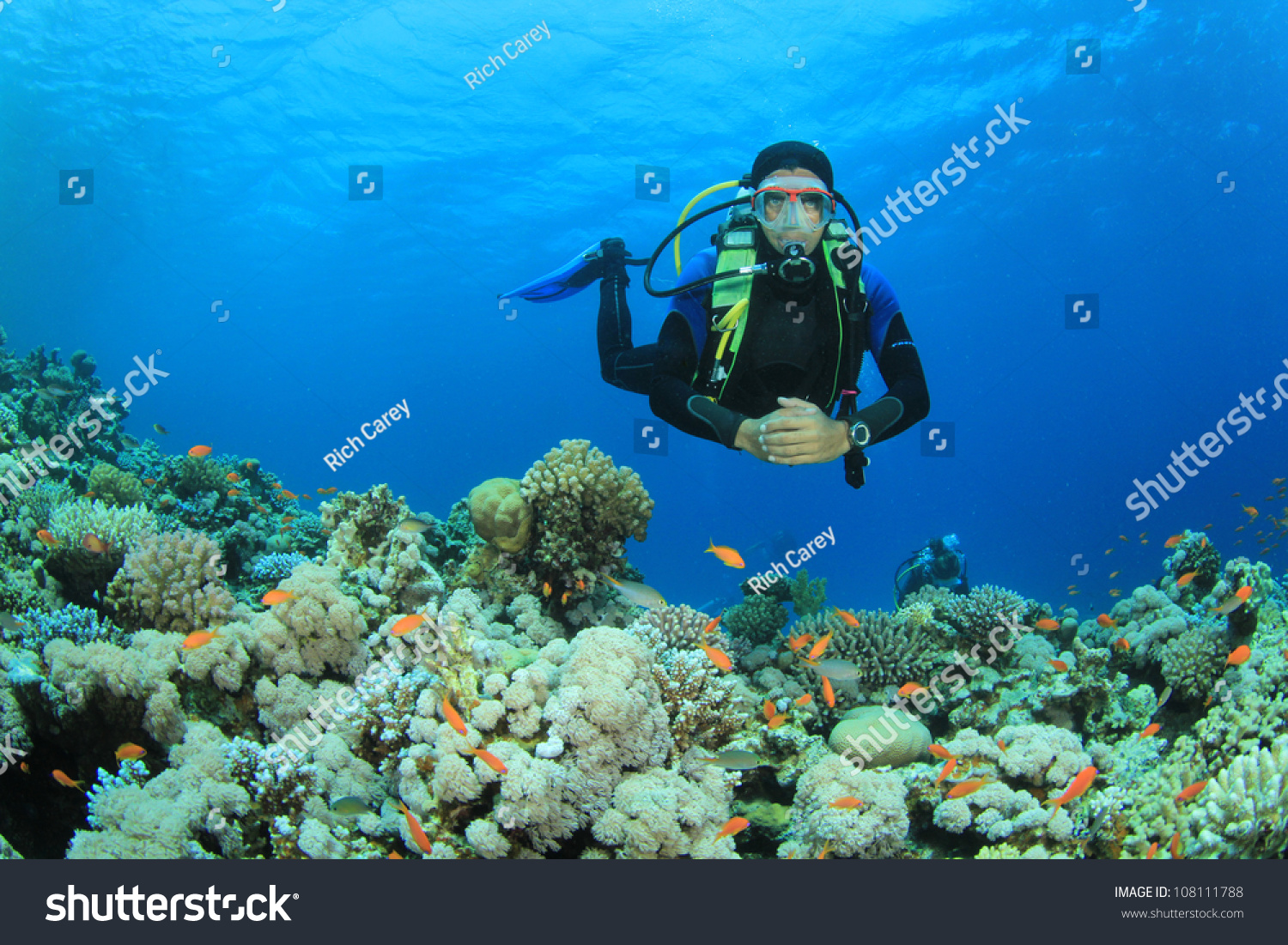 Scuba Diver swims over coral reef in the Red Sea #108111788