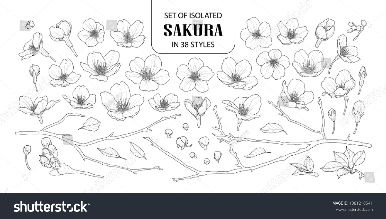 Set of isolated sakura in 38 styles. Cute hand drawn flower vector illustration in black outline and white plane on white background.