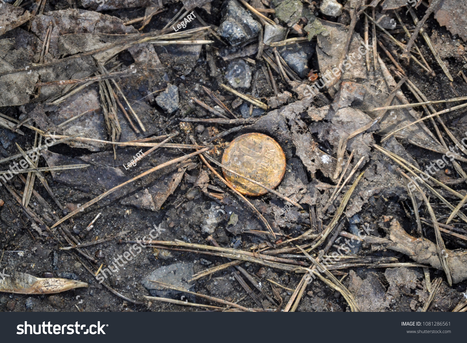 Lost coin on the ground in the forest on the trail. The old lost coin #1081286561