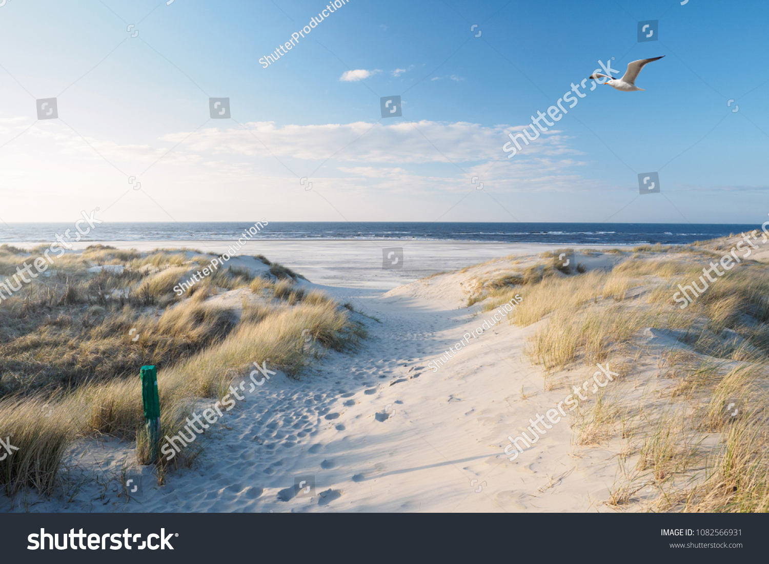 Beach, dunes and north sea #1082566931
