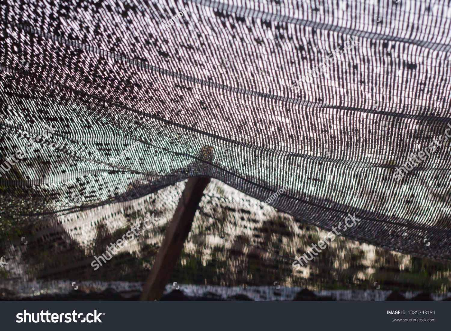 Close up black shading net pattern texture and background.Weaved plastic shade/ covers plants and materials to protect and avoid direct sunlight that could harm the object underneath. #1085743184