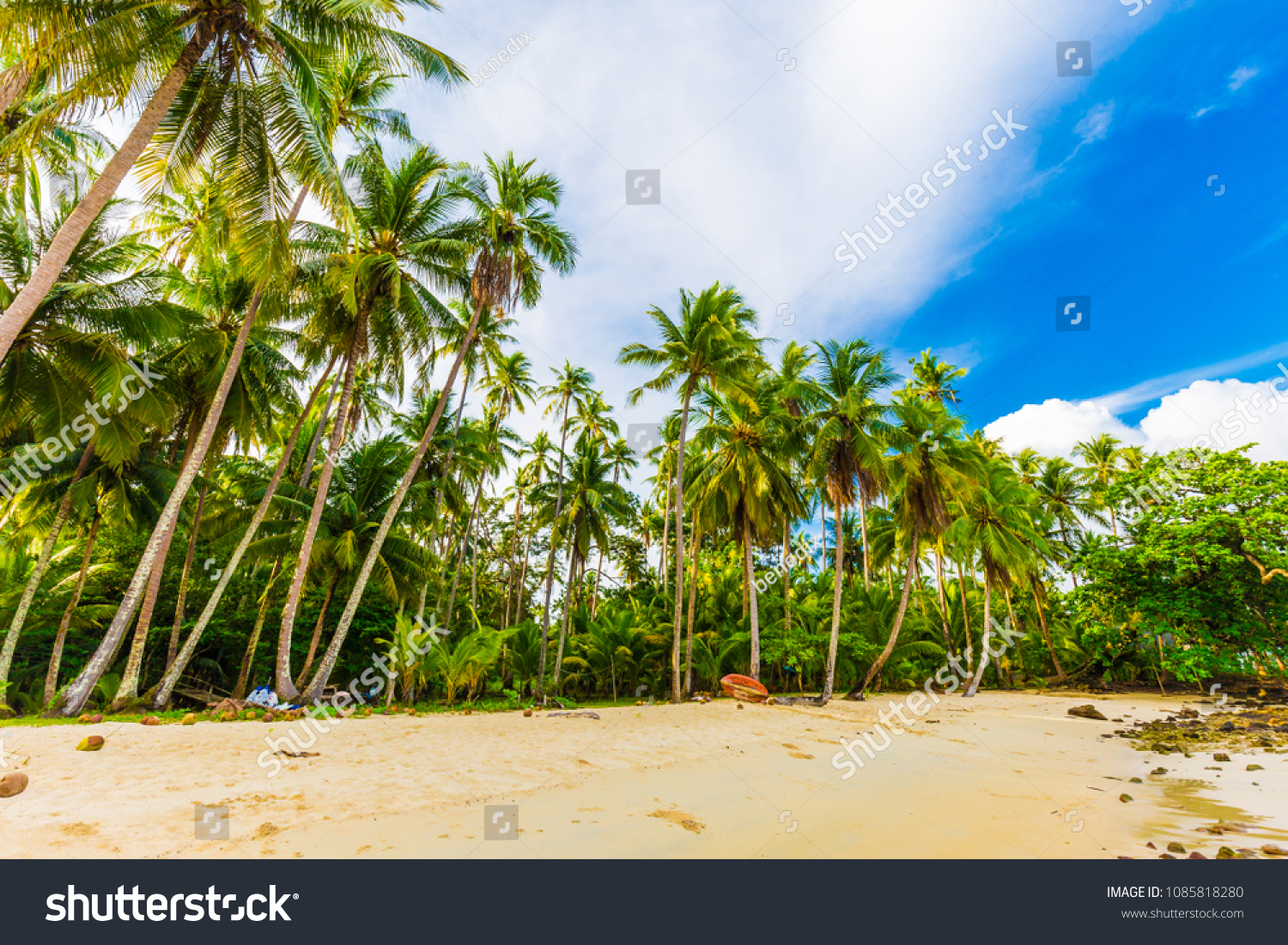 Coconut palm tree blue sky on tropical beach morning nature view at Koh Kood Thailand #1085818280