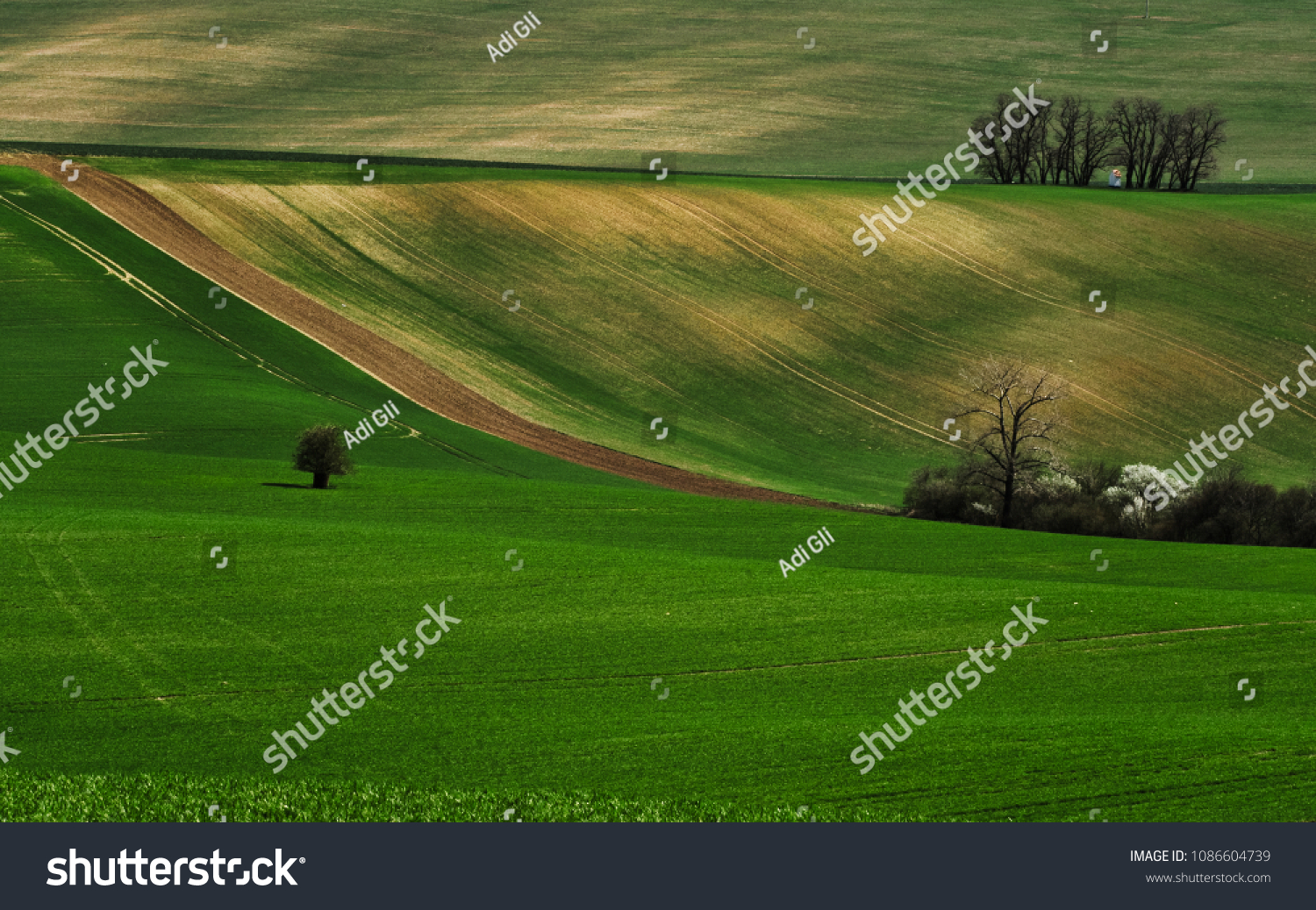 Spring in Moravia #1086604739