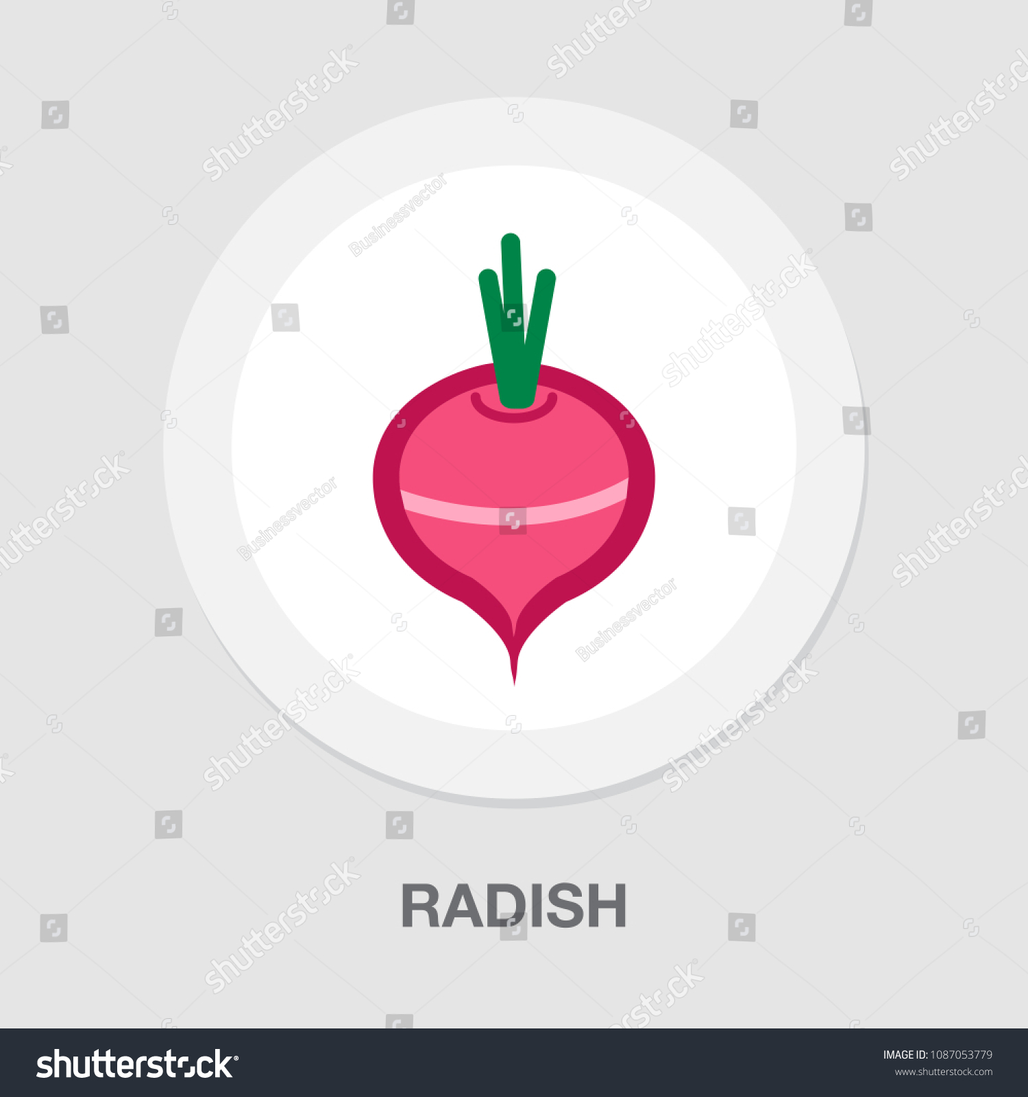 vector vegetable radish -  fresh nature healthy illustration symbol isolated #1087053779