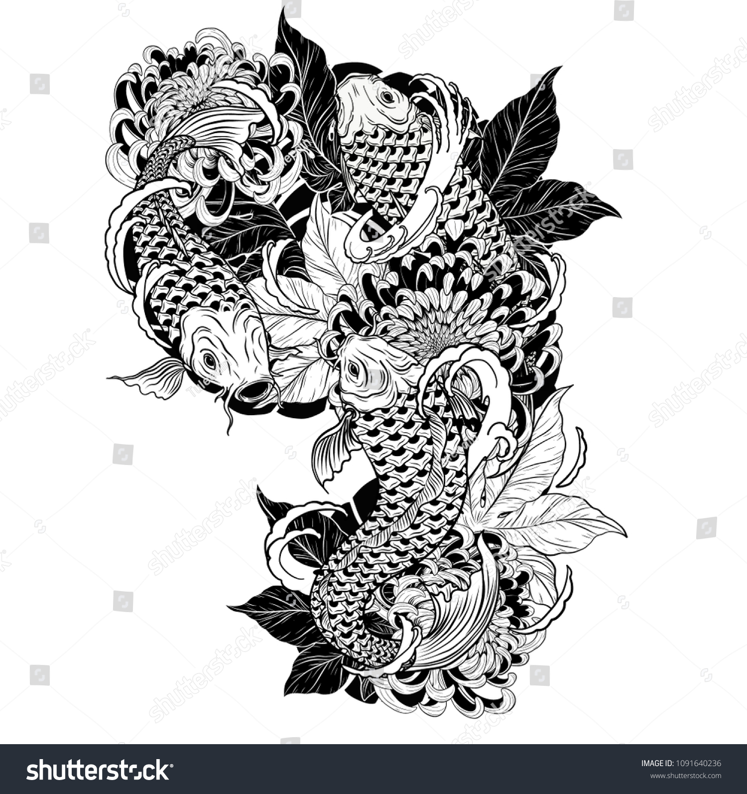 Carp fish and chrysanthemum tattoo by hand drawing.Tattoo art highly detailed in line art style. #1091640236