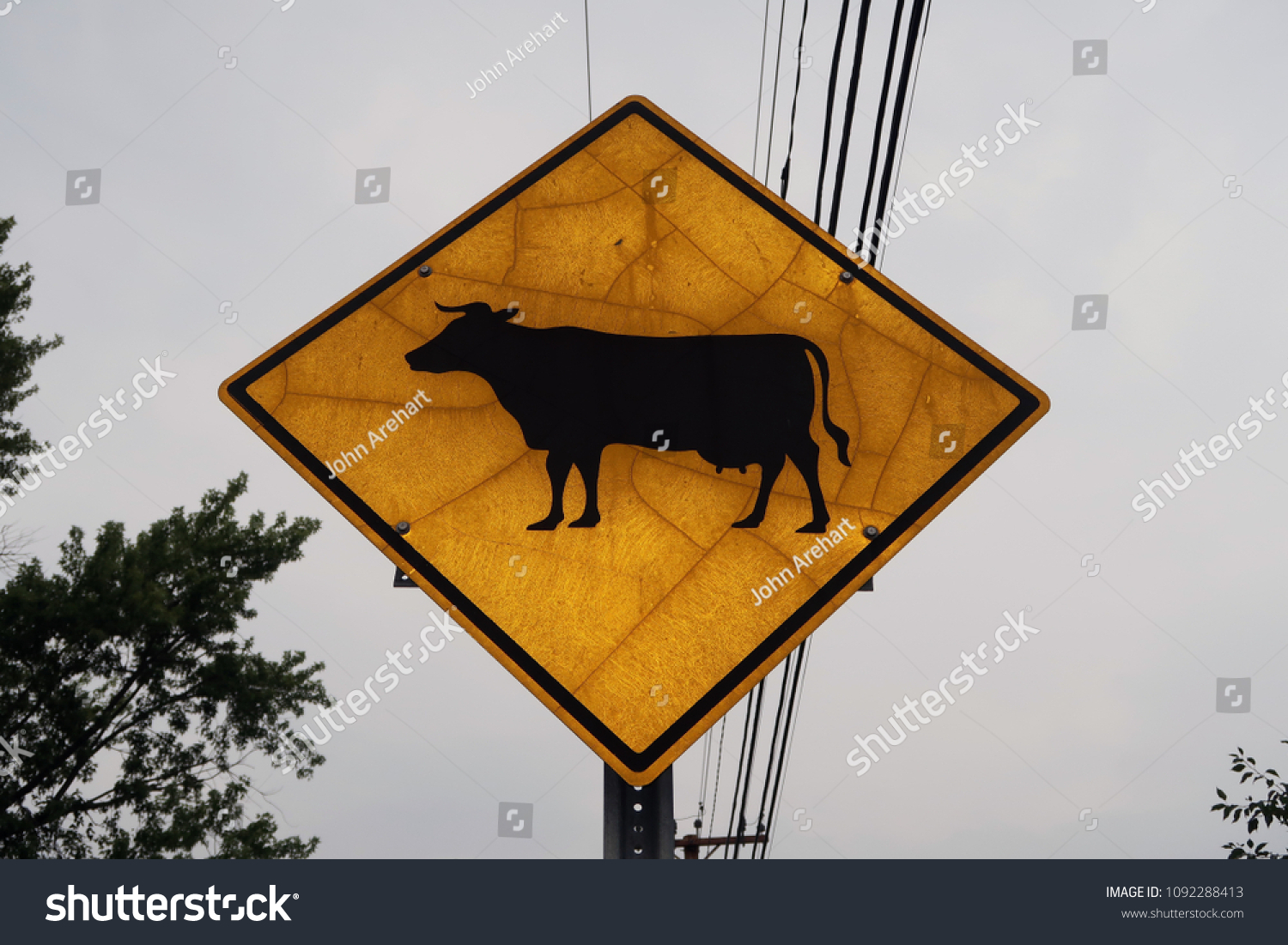 Low angle of a street sign with the symbol of a cow on it.                                #1092288413