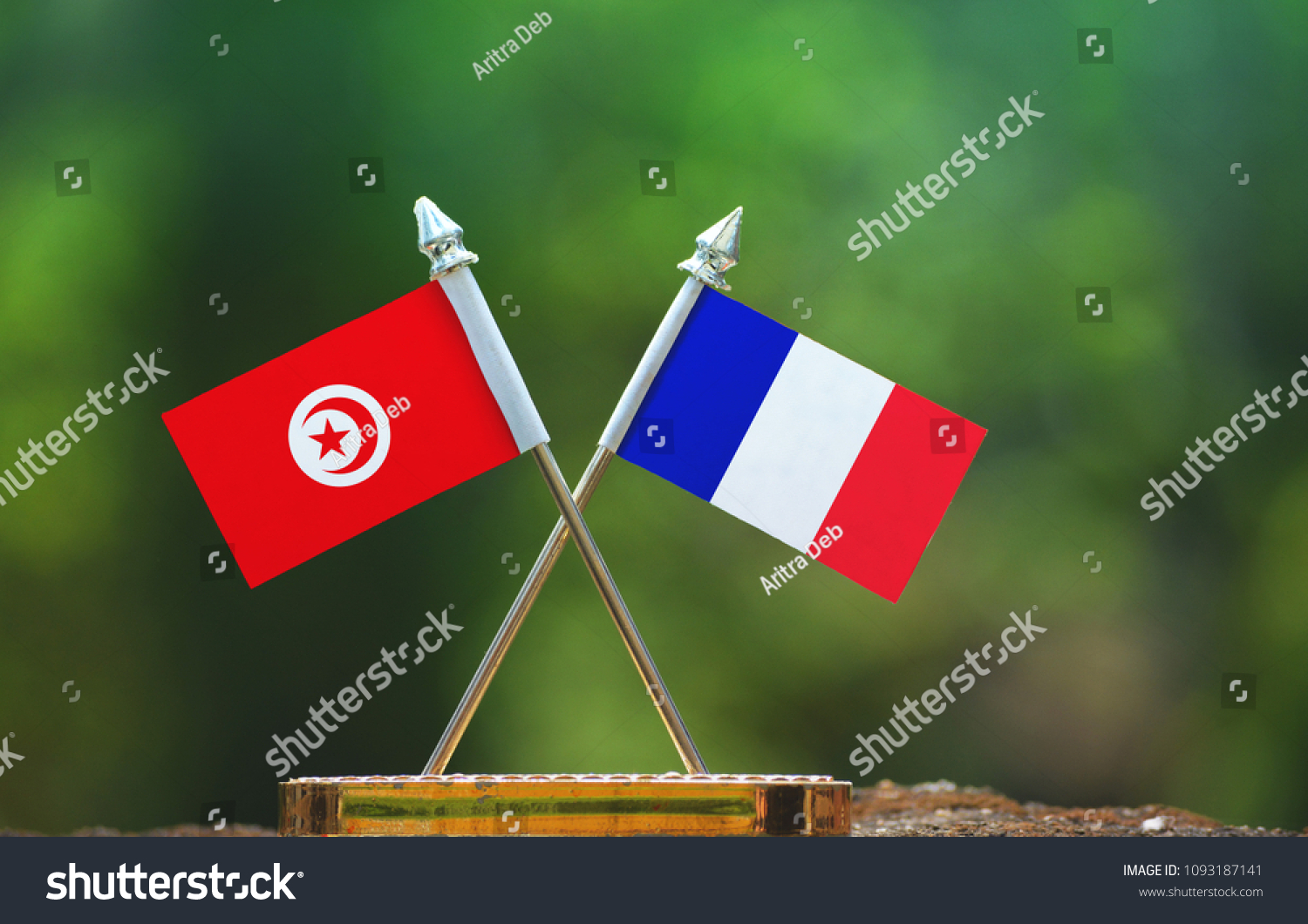 France and Tunisia small flag with blur green background #1093187141