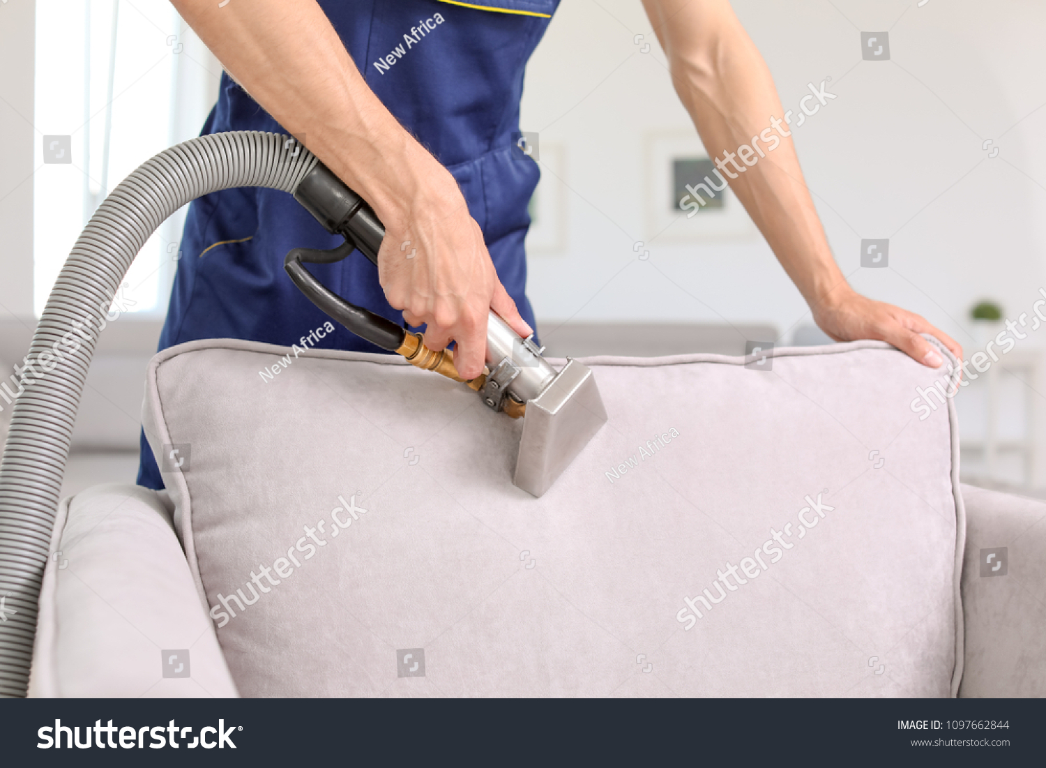 Dry cleaning worker removing dirt from armchair indoors #1097662844