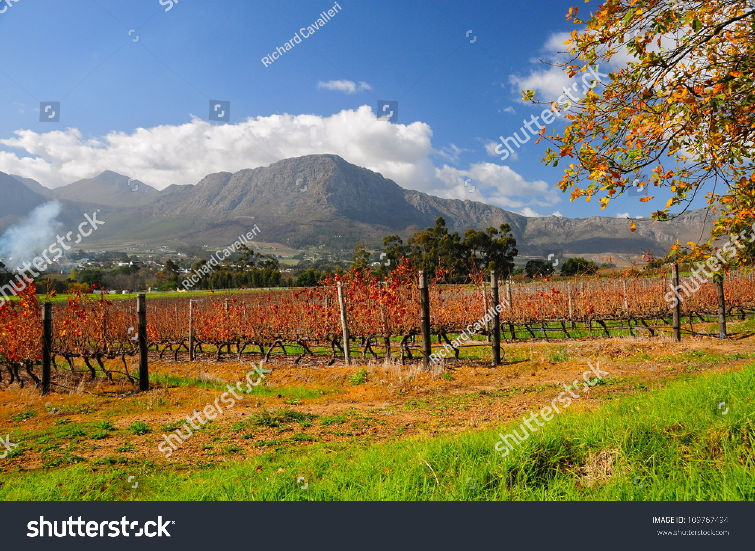 Franschhoek wineland area, South Africa #109767494