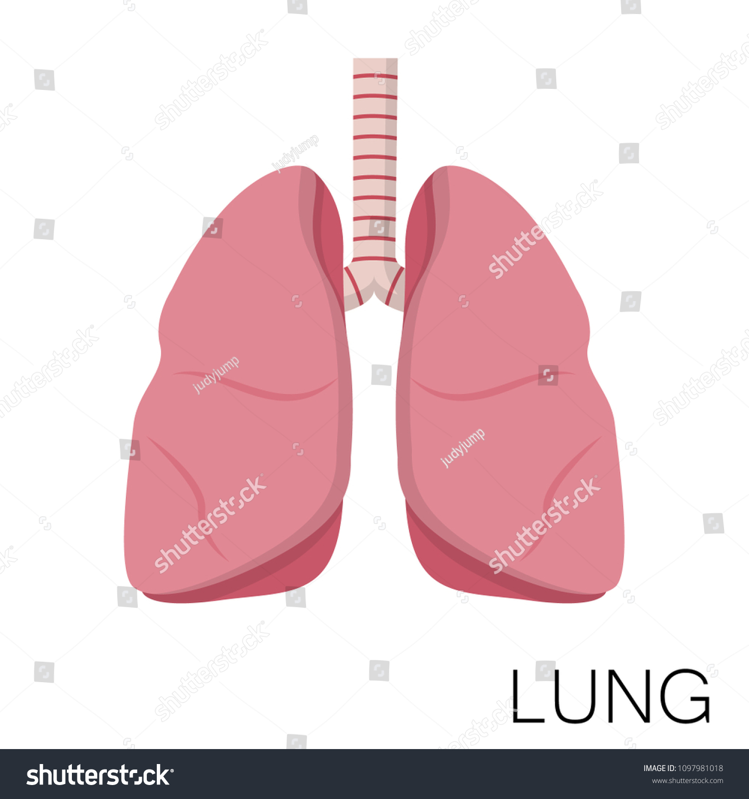 Lungs Cartoon Vector. Free Space For Text. - Royalty Free Stock Vector 