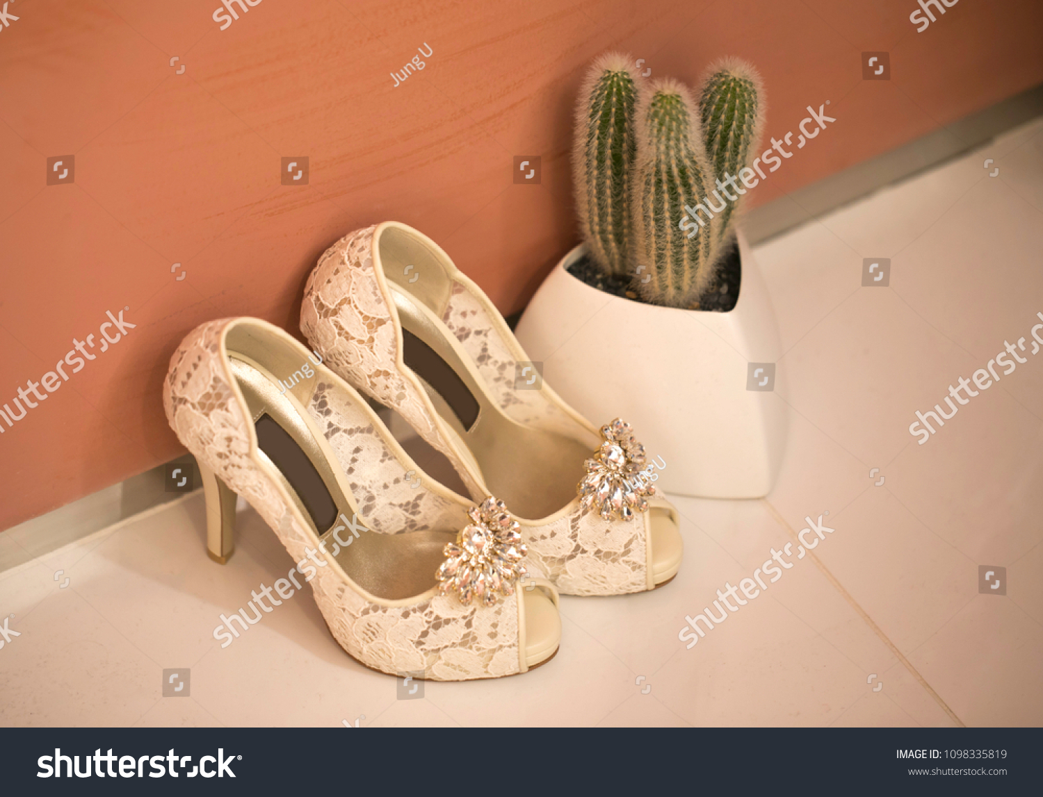 Pink shoes and wedding shoes next to cactus #1098335819