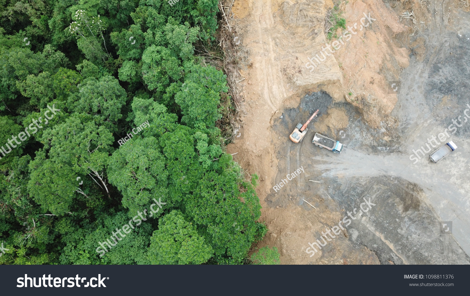 Deforestation aerial photo. Rainforest jungle in Borneo, Malaysia, destroyed to make way for oil palm plantations  #1098811376