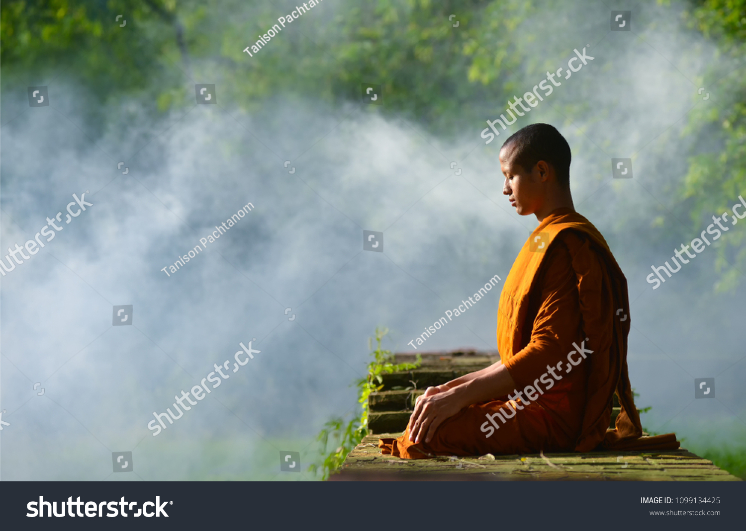 Buddhist monks meditate to calm the mind. The brain will refresh the secretion of Indoine. Make happy #1099134425
