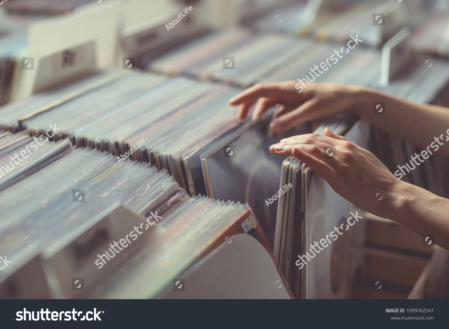 Women's hands browsing records in a vinyl record store #1099762547