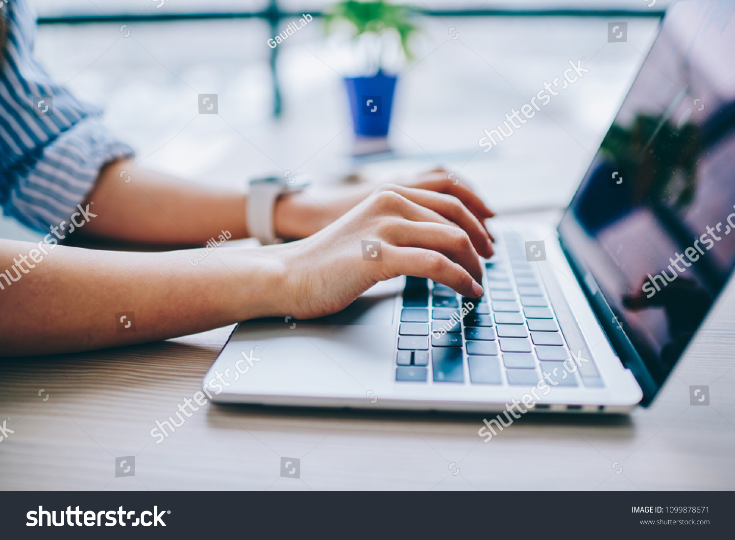 Cropped image of female hands typing on laptop computer connected to wifi working on freelance ,keyboarding on modern netbook for searching information online in networks for online business #1099878671
