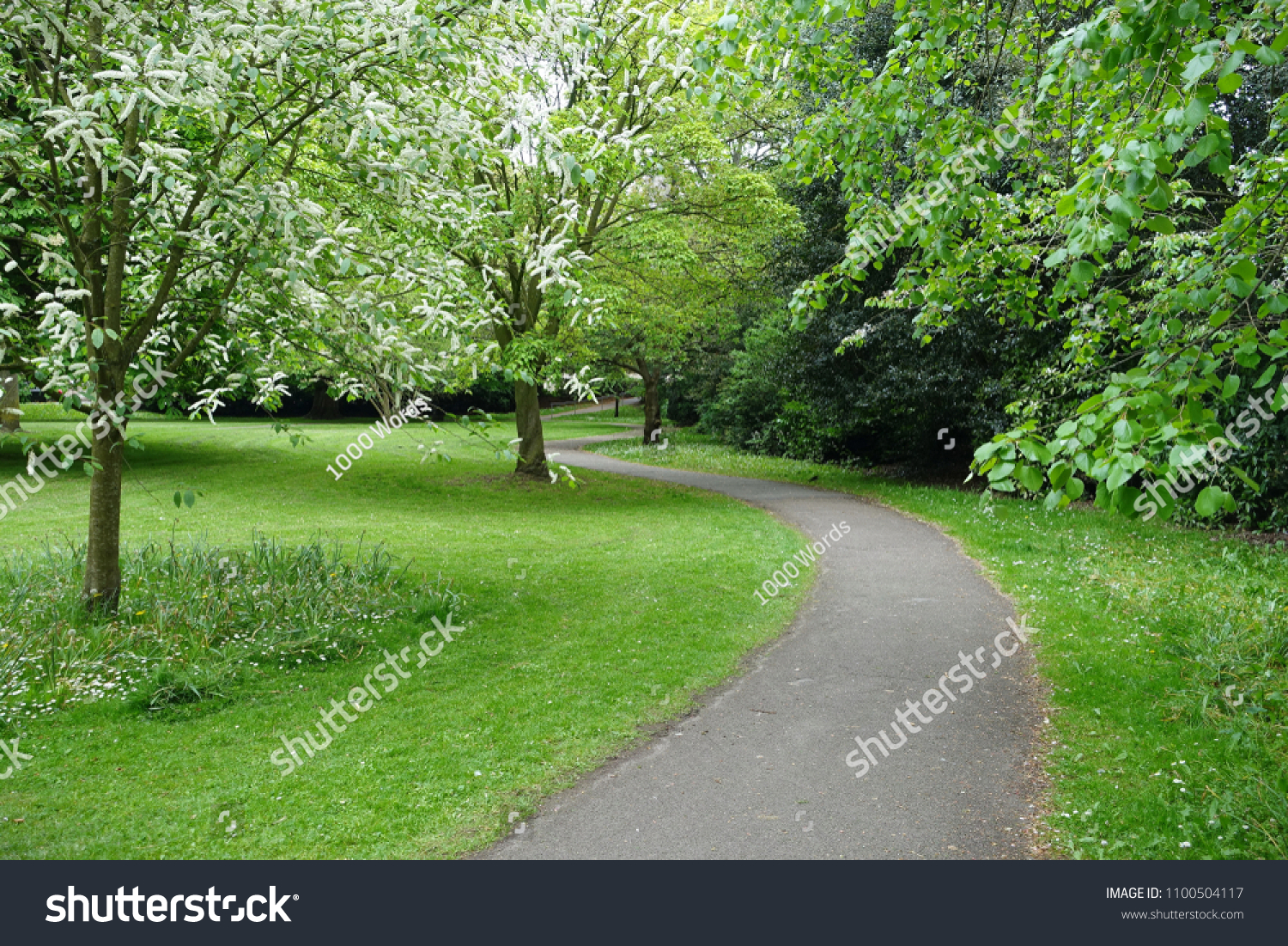 Scenic View of Path through a Beautiful Green Leafy Park Garden #1100504117