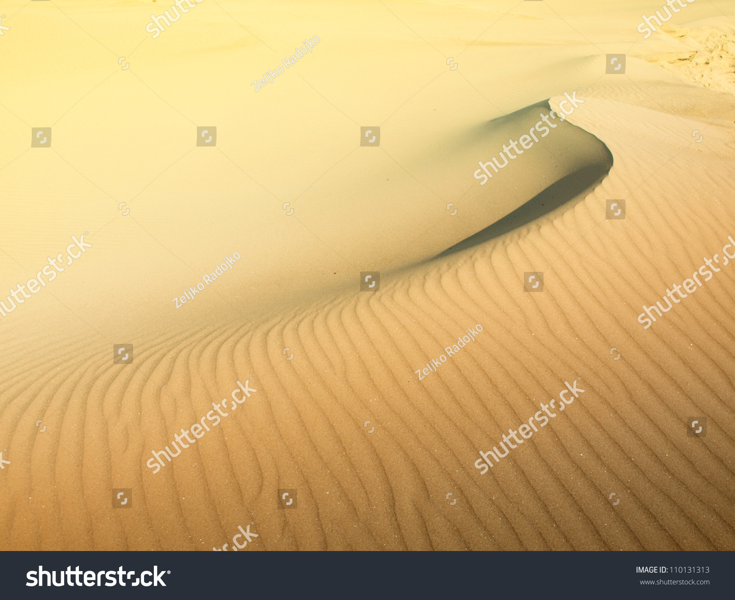 Sand dune #110131313