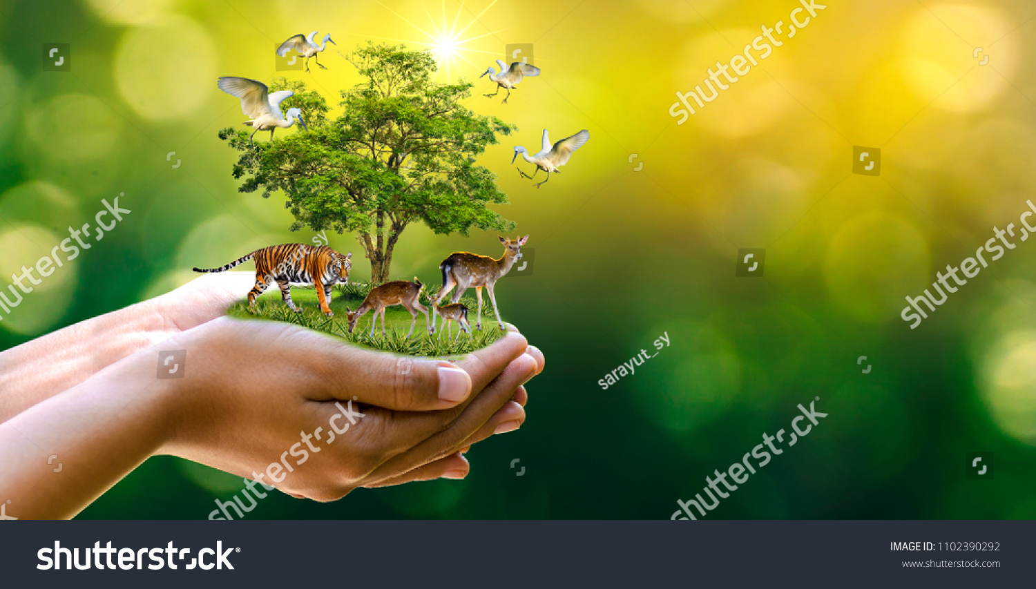 Concept Nature reserve conserve Wildlife reserve tiger Deer Global warming Food Loaf Ecology Human hands protecting the wild and wild animals tigers deer, trees in the hands green background Sun light #1102390292