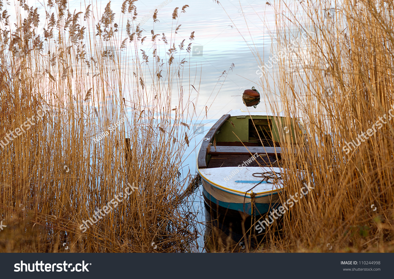 View between tall aquatic reeds and grasses to a small rowboat moored on the lakeshore in a mirror calm lake #110244998