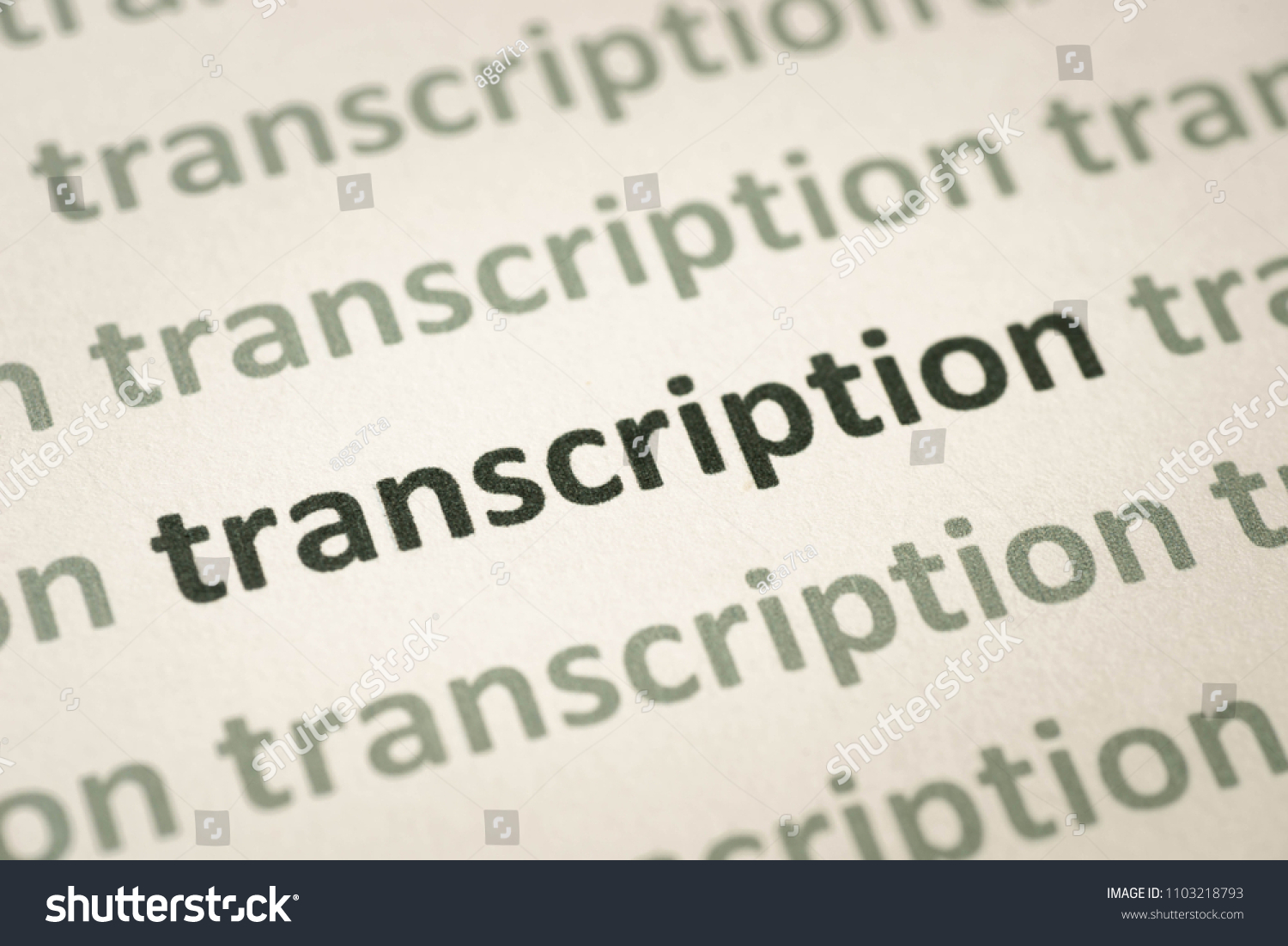 word transcription printed on white paper macro #1103218793