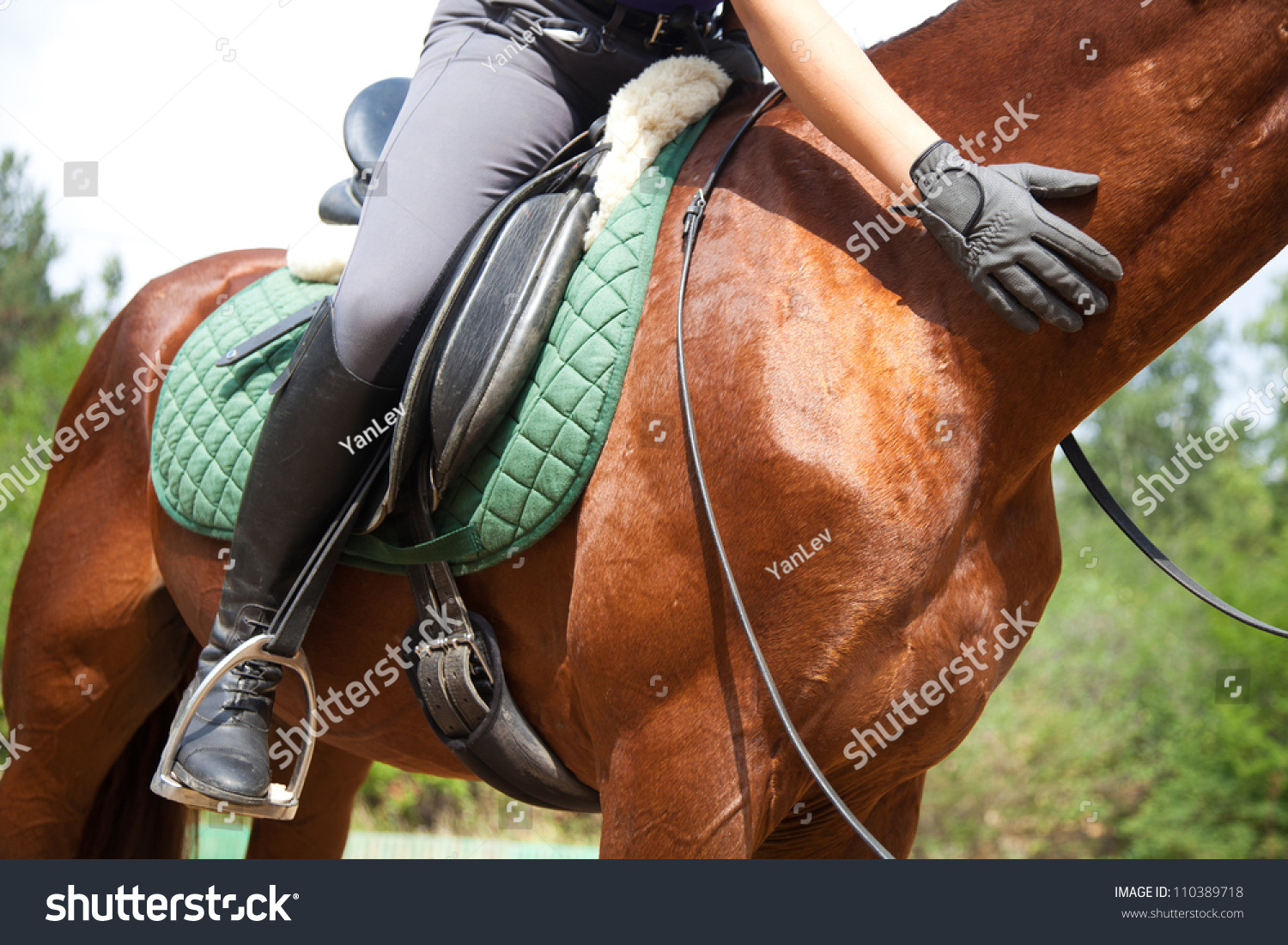 Close-up of woman rider and horse #110389718