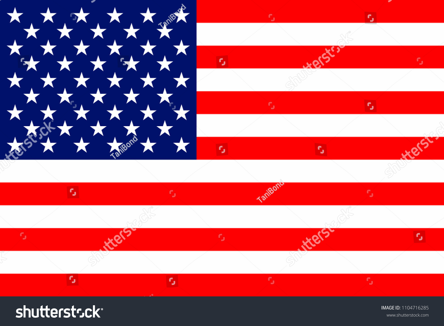 USA national flag #1104716285