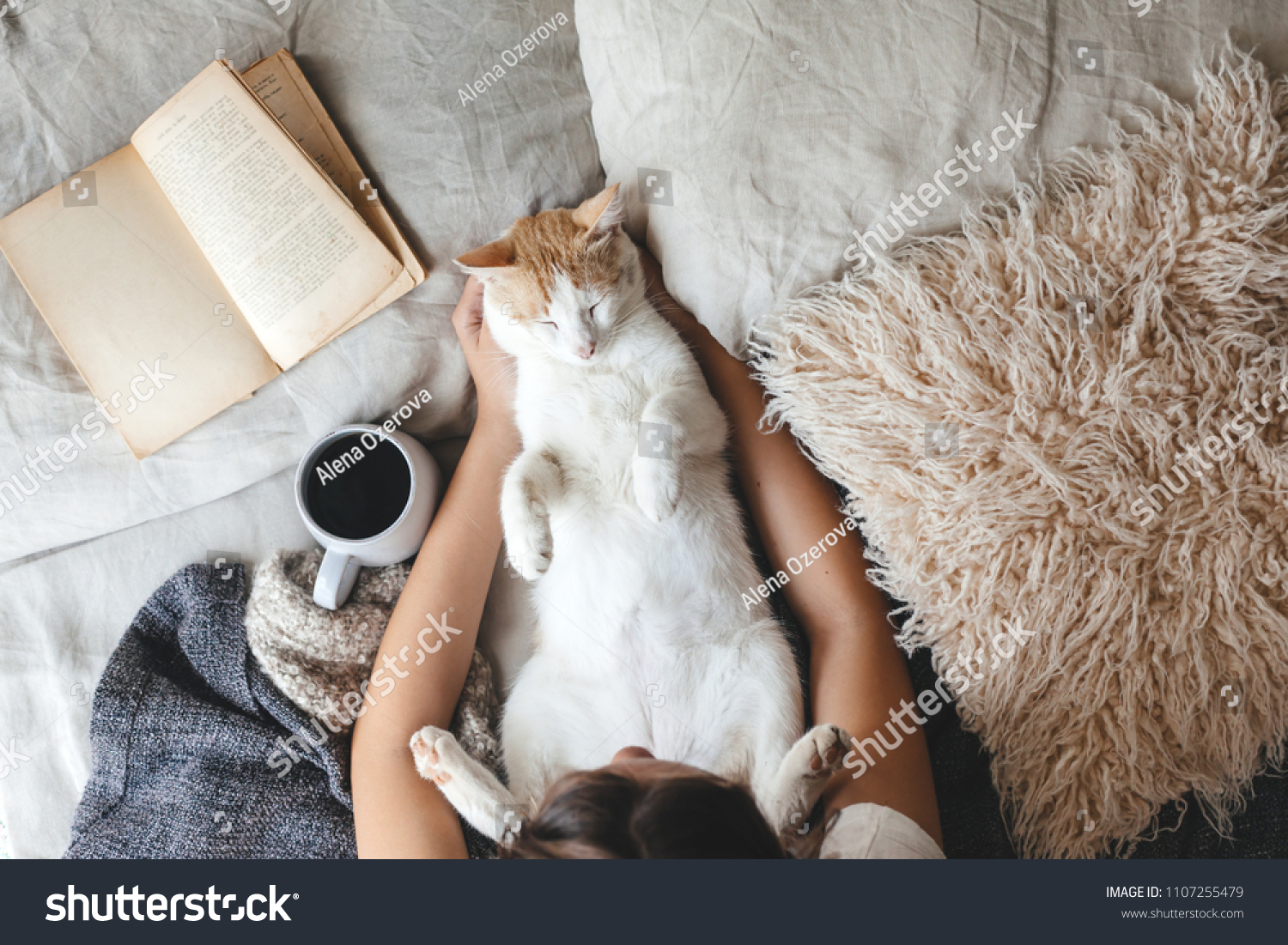 Cute ginger cat is sleeping in the bed on warm blanket. Cold autumn or winter weekend while reading a book and drinking warm coffee or tea. Hygge concept. Text on the pages is not recognizable. #1107255479