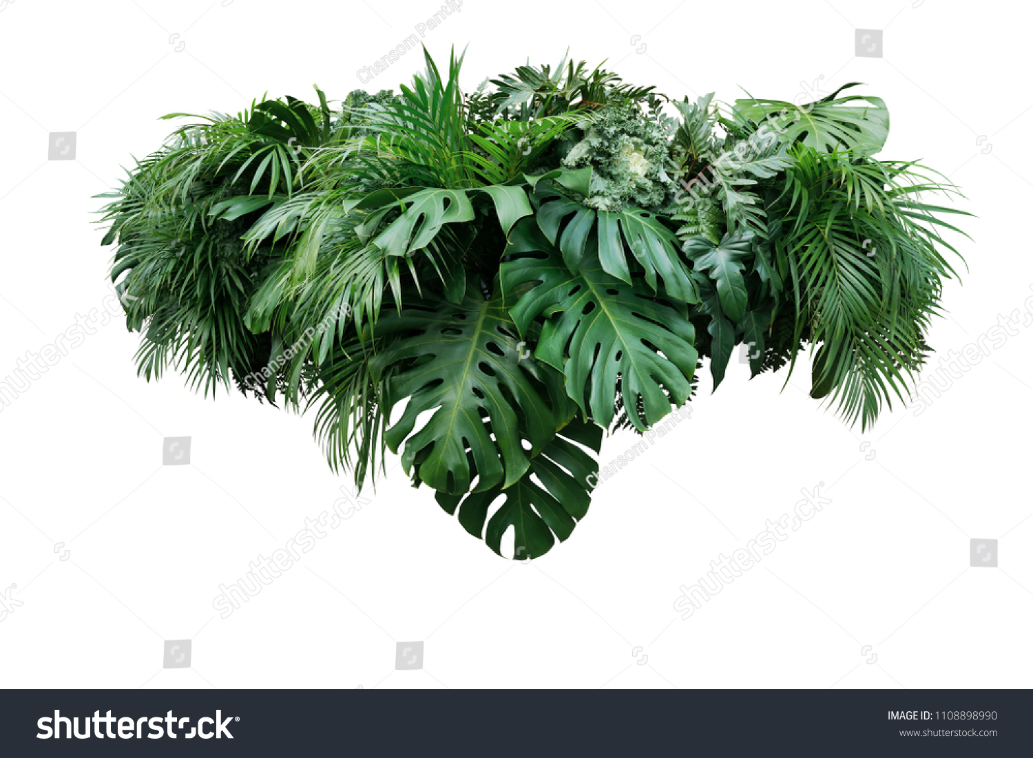 Tropical leaves foliage plant jungle bush floral arrangement nature backdrop isolated on white background, clipping path included. #1108898990