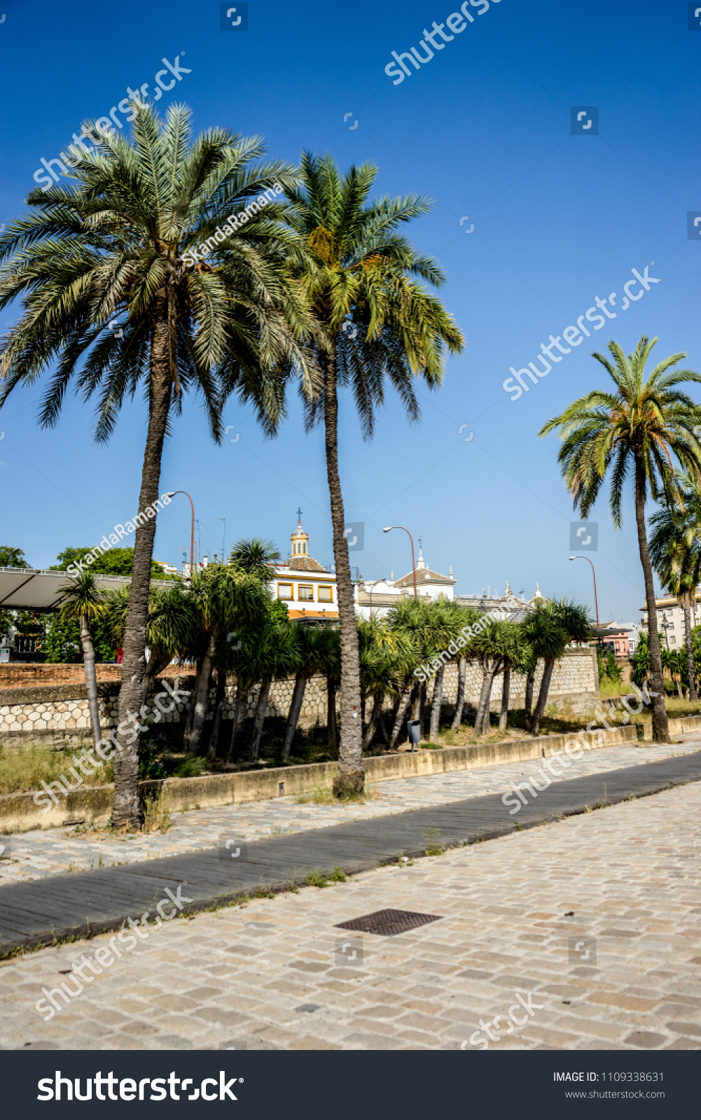 Spain, Seville, Europe,  PALM TREES BY SWIMMING POOL AGAINST SKY #1109338631